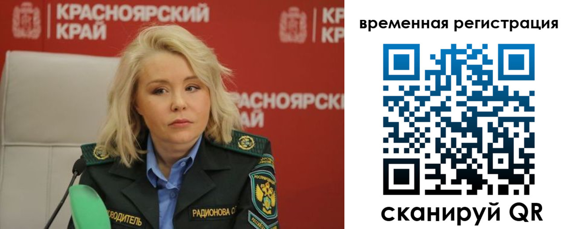 прописка поиск в Мамадыше